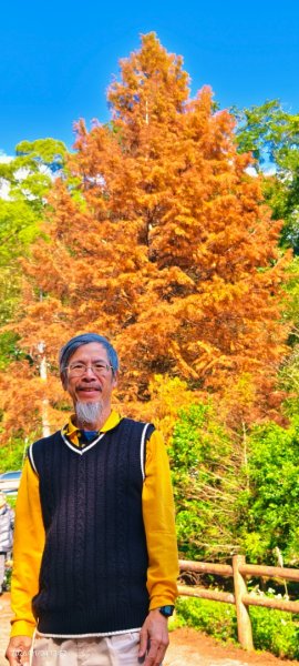 #花卉試驗中心 #永公路500巷 #平菁街42巷 #原住民公園 #士林官邸 1/42976541