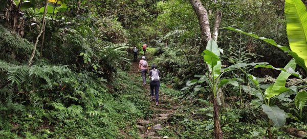 2025/07/19-大艽芎古道上溪洲山O型2841544