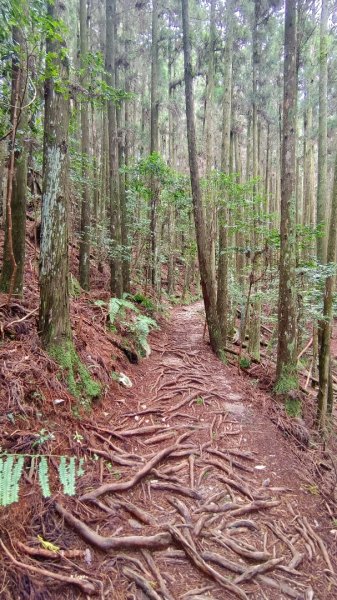 馬崙山之美1756013