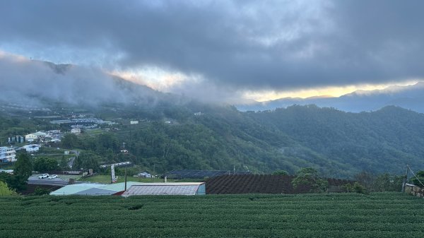 隙頂二延平步道2798956
