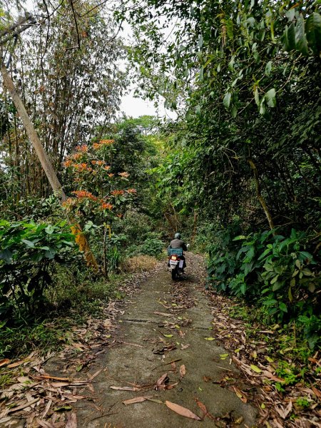 白雲山-小百岳#69-高雄市甲仙區2750253