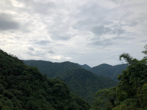 嘉義連峰獨立山大巃頂紅楠坑觀音石阿拔泉633128