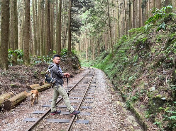 二萬坪山.屏遮那山.夫妻神木【最佳品質的森林浴】2370217