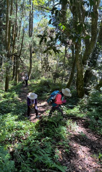瞭望台-瓊山-望美山-獵人古道2887718