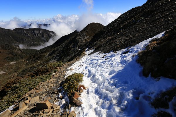 雪山‧甘木林山1250031