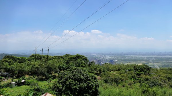 水磨坑古道,竹林古道2561796