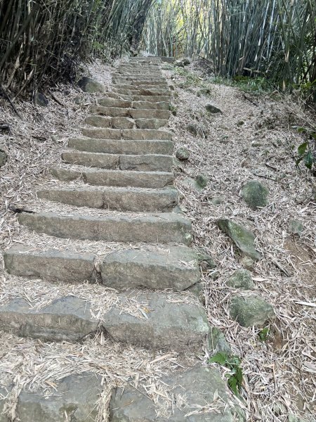 面天山、向天山、向天池2921022