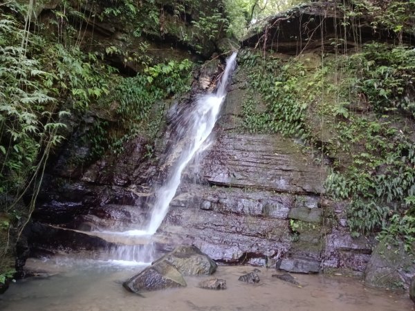 雙溪區后番子坑古道+后番子坑山+平湖東步道+大坑山+下內平林山+上內平林步道出平水2972922