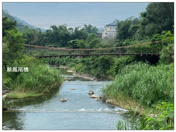 鳴鳳古道(苗栗/獅潭)2572397