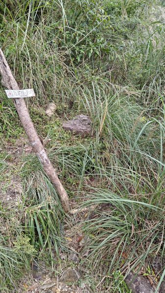 棲松縱走未竟2918325