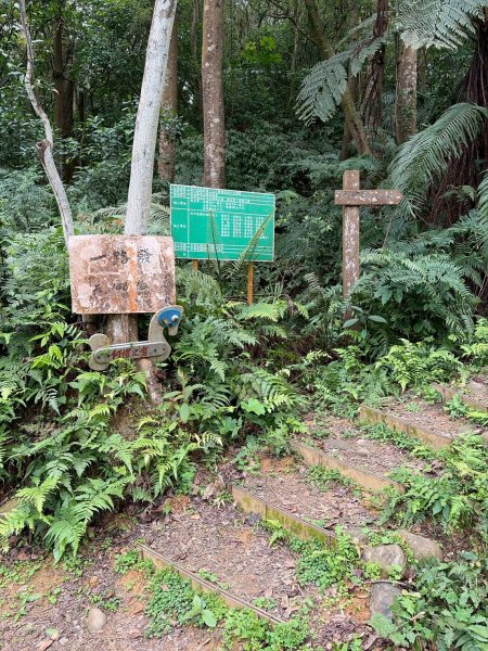 新北 林口 國際AI智慧園區-工一森林小徑-雪花步道-祖師巖登山步道-湖內公園3019090