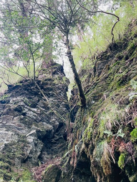 2025/09/13-14 小完美畢祿2926592