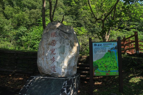 花蓮．佐倉 撒固兒步道2023/04/292164649