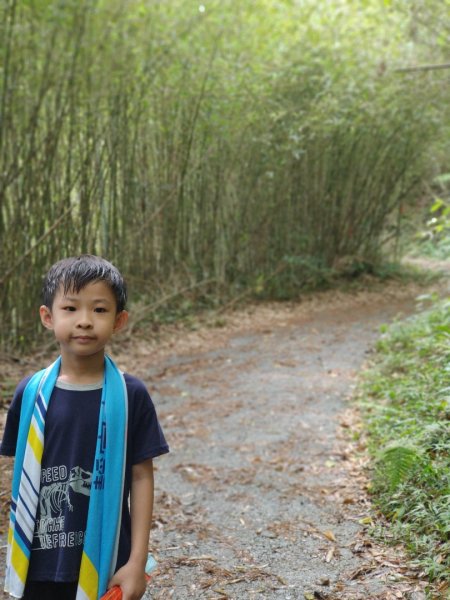 關子嶺運動+泡湯，雞籠山步道：台灣最大蜘蛛、黑端豹斑蝶、猴子、赤蛙、蜥蜴、山豬(只有聽到聲音)1708424