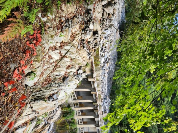 【百岳】雲海的浪漫，羊頭山單攻3045337
