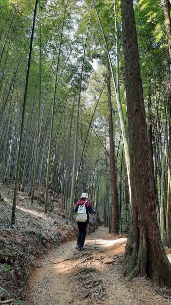 《雲林》石壁五元兩角木馬古道大O型202103201314227