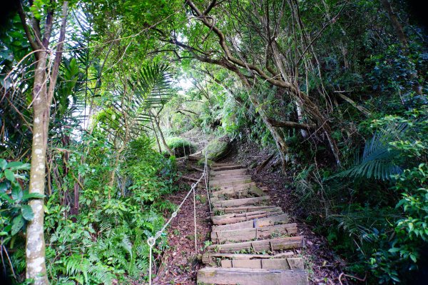 新北 土城 天上山、五城山、文筆山、五尖山、牛埔頭山、大尖山、二尖山、內冷水坑山、石門山、南天母山3134913