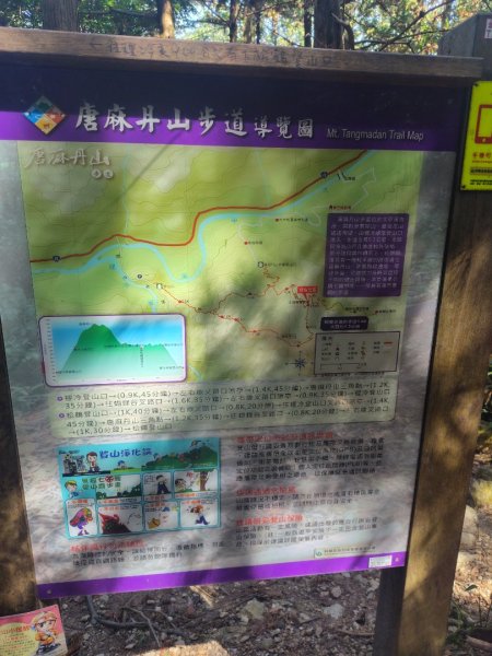 唐麻丹山 蝴蝶谷2918968