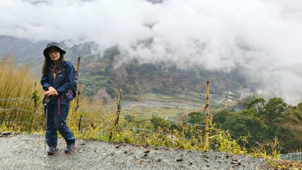 神阿縱走~台灣難抵極~大塔山2971392