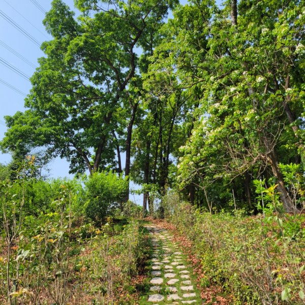 橫山屏休閒園區2135615