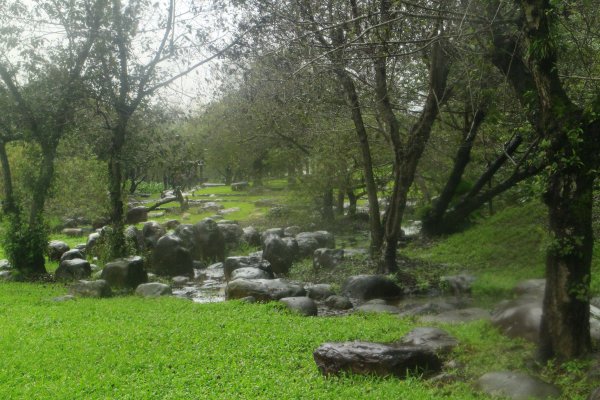 雨紛紛之羅東運動公園202011281190293