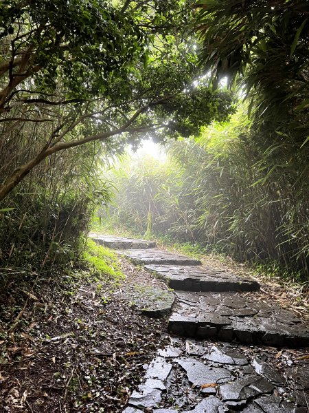 【臺北大縱走第三段】小油坑→風櫃口 之 天雨路滑小孩還特別多2178614