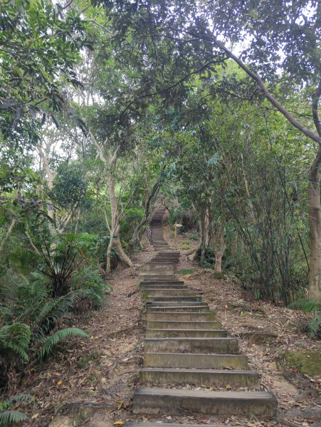 2025.12.14－微笑山線：【二格山系】和美山螢火蟲段2966249