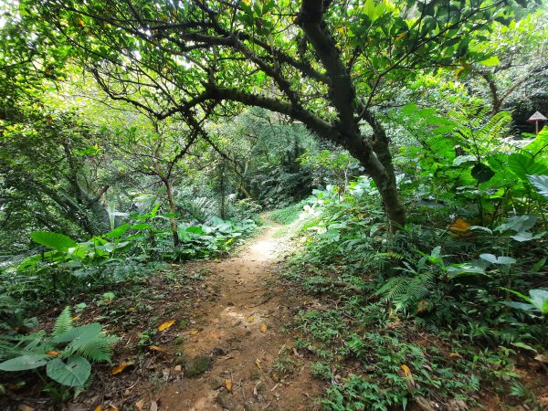 圓通寺烘爐地登山步道1425387