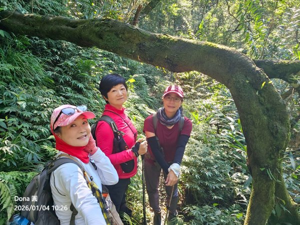 20260104源茂山.源茂山西峰.和尚髻山O走+親水觀魚步道2977709