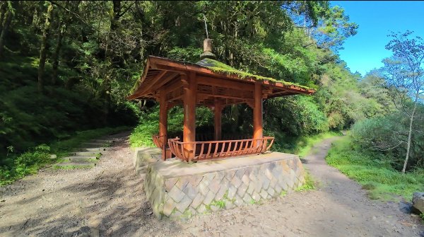 嘉義-特富野古道3120559