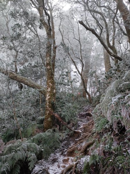 雪季北得拉曼2956422