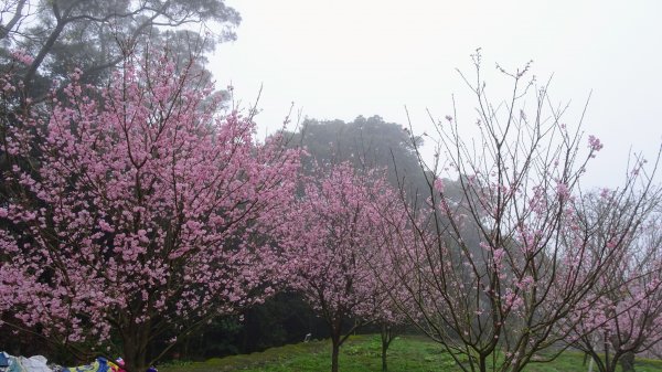 十八彎古道2026564