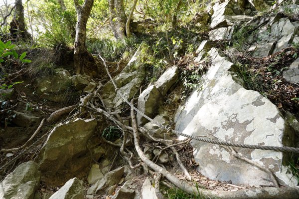 臺中 和平 屋我尾山、十文溪山2699461