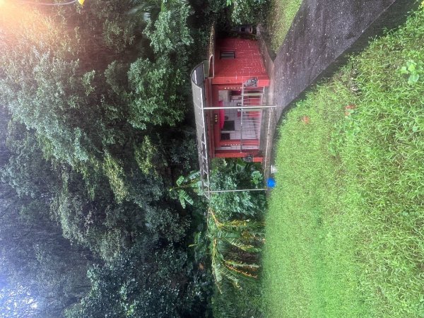 2024草嶺古道芒花季草嶺古道2644785