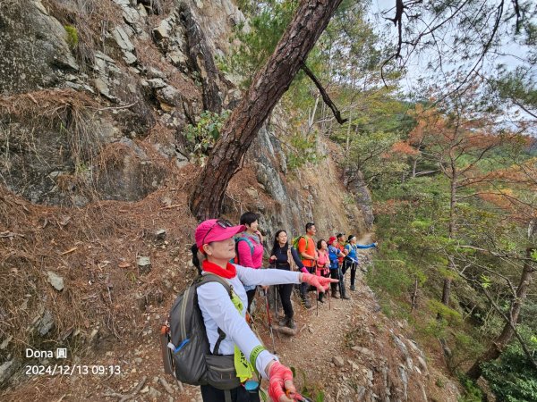 【谷關七雄】東卯山(H1690.5m)慢慢走2671026