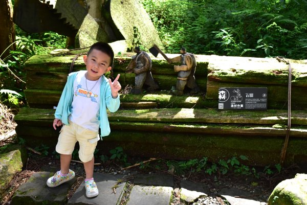 20251011追公車搭公車阿里山漫遊2910913