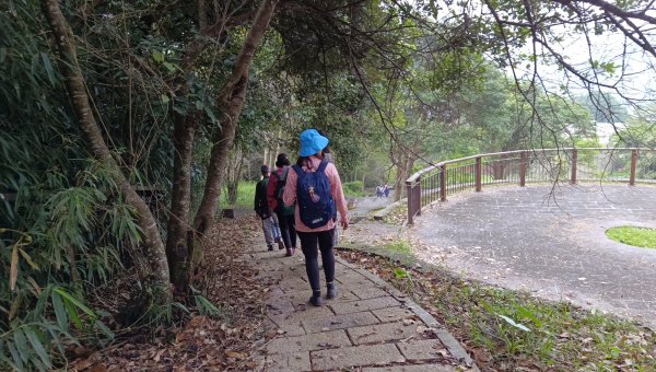 (姨婆趴趴走)第三十集:嘉義梅山太平雲梯、太平老街、太興岩茶園步道、龍王金殿2335395