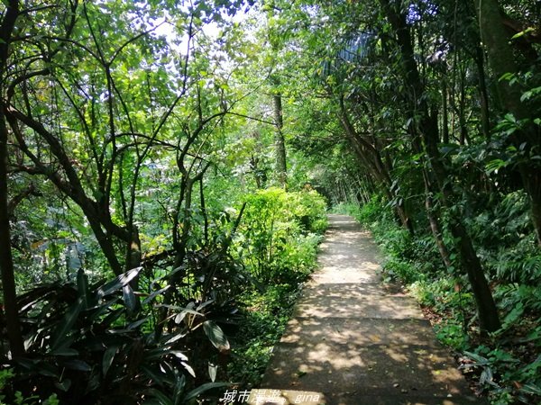 【基隆。仁愛】小百岳集起來。編號7小百岳~紅淡山步道1346371