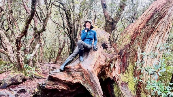 🌈4/13（日）（三）魔法森林-塔曼山~FB：熊熊趴爬走🌈2761291