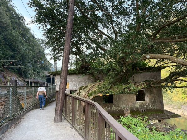 新北 三貂嶺生態友善隧道3004754