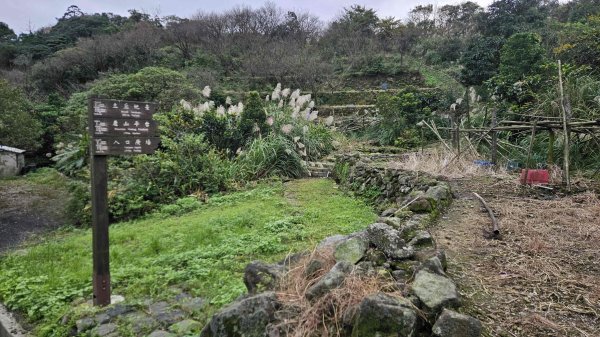 20251128玉瀧谷(竹子湖南)-東昇路碉堡-後山-湖田後山梯田(騎車爬山)2948397