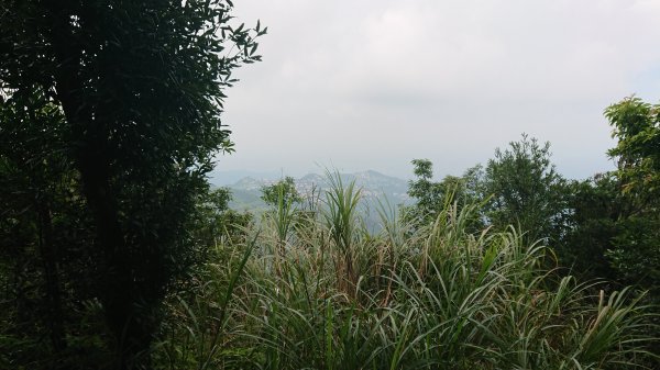 20180901新店獅仔頭隘勇線登山步道416121