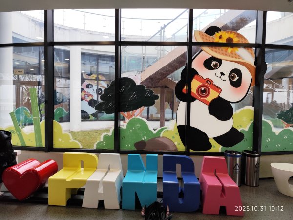 四川成都大熊貓繁育研究基地2940705