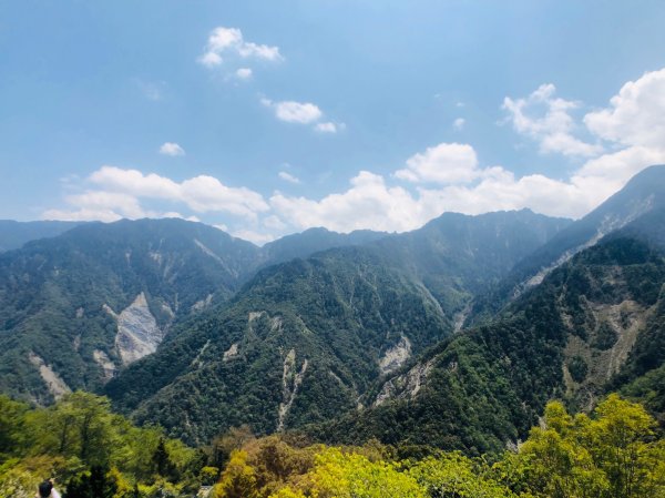 1090413中之關天池-初嚐梅子雞940950