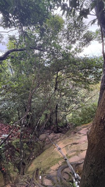 大雨後🙄2845400