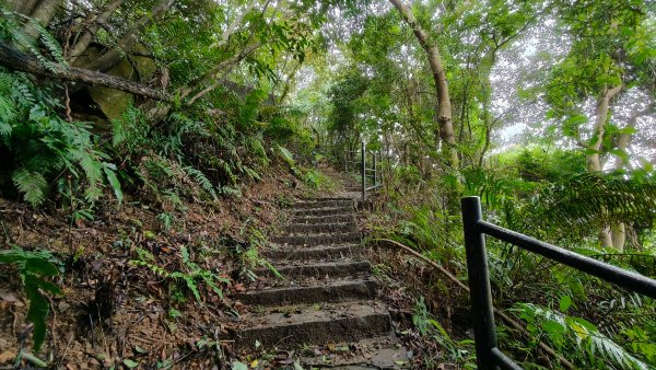 燕溪古道-大崙尾山西峰-仙座台山-圓明寺步道2926536