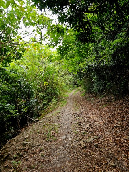 加奈美山-小百岳#95-台東縣大武鄉2776994