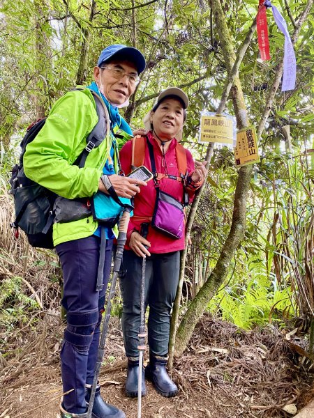 龍鳳、龍鳳峽、三叉崙、內樹皮、水桶寮、羊頭崙、志騰、竹崙、溪頭山九連峰縱走  2022/1/11570365