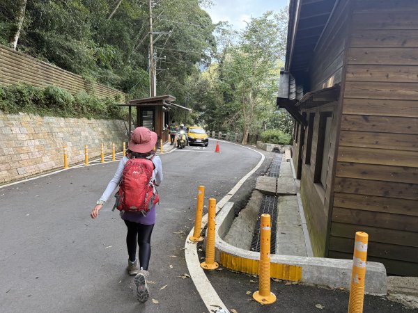 塔曼山 連走 拉拉山森林遊樂區 O繞 202510112923700