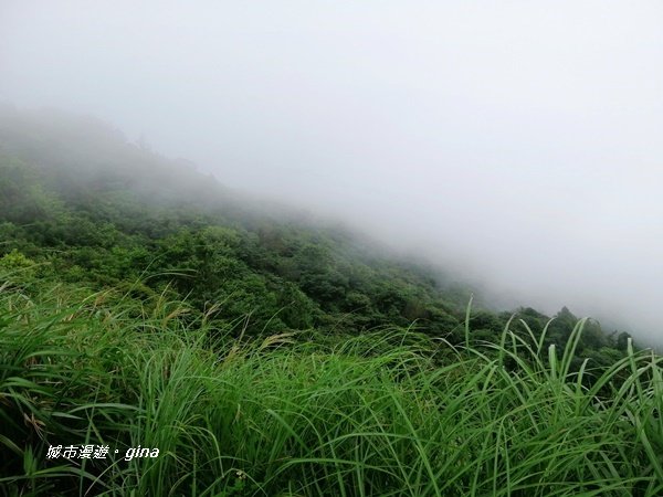 台北市第一高峰。 編號02小百岳七星山1235290
